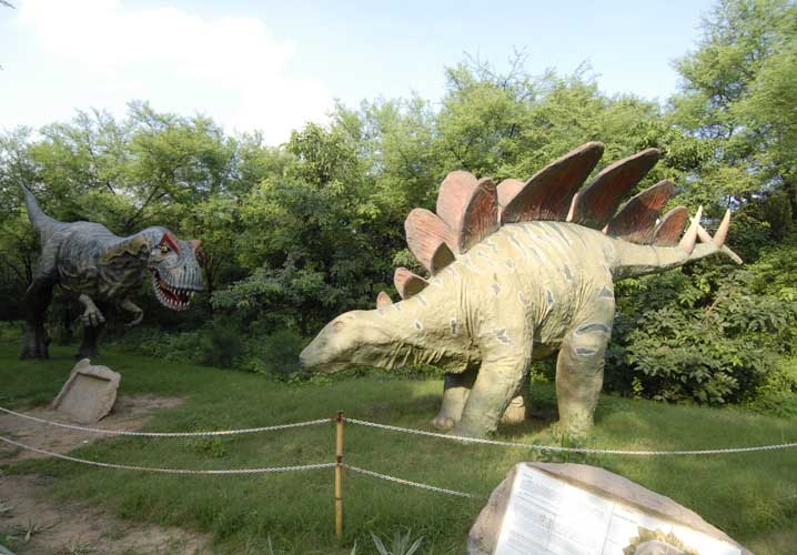 indroda park ahmedabad boasts of dinosaur museum and botanical garden
