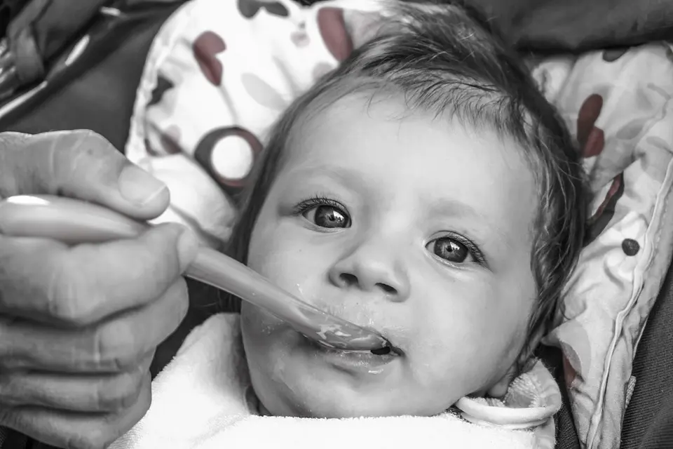 A complete guide of buying Travel cooker, a convenient way of preparing baby food when you're on travel, in India