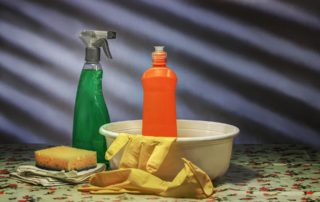 how to get rid of toxins in home environment